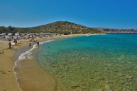 Vai Beach (Finikodasos) beach Sitia Crete - allincrete.com