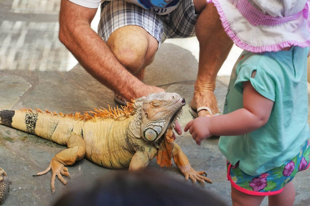 Aquaworld Aquarium & Reptile Rescue Centre in Heraklion AllinCrete