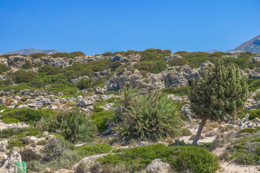 White Lake Beach (aspri Limni) In Chania - Allincrete Travel Guide For 