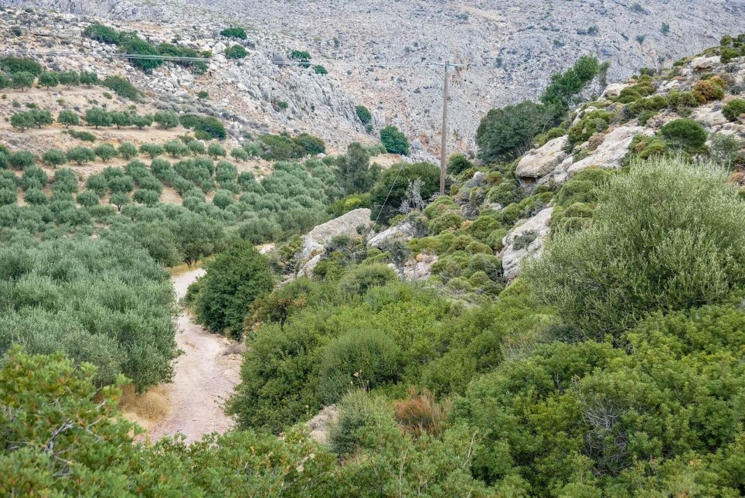 Gorge of the Dead in Kato Zakros Sitia - AllinCrete Travel Guide for Crete