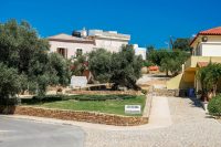 Ancient Olive Tree Vouves Museum Chania Crete - Copyright 2022 Allincrete.com