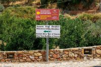 Ancient Olive Tree Vouves Museum Chania Crete - Copyright 2022 Allincrete.com