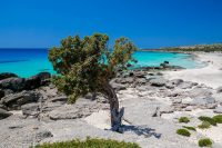 Kedrodasos Beach Chania Crete - Copyright 2022 Allincrete.com