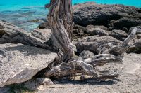 Kedrodasos Beach Chania Crete - Copyright 2022 Allincrete.com