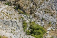 Kourtaliotiko Gorge Rethymno Crete - Copyright Allincrete.com