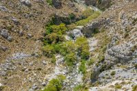 Kourtaliotiko Gorge Rethymno Crete - Copyright Allincrete.com