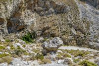 Kourtaliotiko Gorge Rethymno Crete - Copyright Allincrete.com