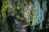 Kourtaliotiko Gorge Rethymno Crete - Copyright Allincrete.com