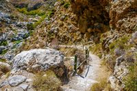 Kourtaliotiko Gorge Rethymno Crete - Copyright Allincrete.com