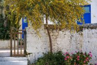 Kroustas Village Lasithi Crete - Copyright 2022 Allincrete.com